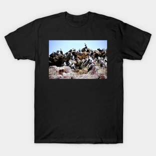 Pérou - Paracas - Les îles Ballestas, Oiseaux T-Shirt